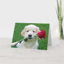 Search for golden retriever valentines day cards Puppy
