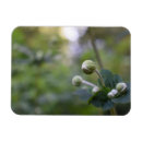 Recherche de flower magnete Floral