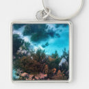 Search for coral reefs keychains Caribbean