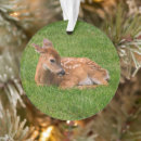 Search for fawn deer ornaments Woodland