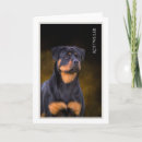 Search for rottweilers cards Dog