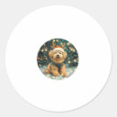 Search for cavapoo stickers Weimaraner