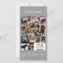 Recherche de shar pei cartes postales Animaux