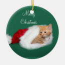Search for orange tabby cat ornaments Kitty