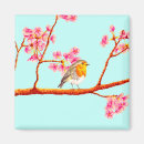 Search for spring bird magnets Colourful