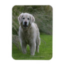 Recherche de courant magnets Fonctionnement