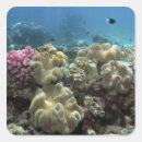 Search for great barrier stickers South pacific