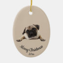 Recherche de pug decor Pet