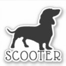 Search for dachshund electronics Pet