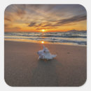 Search for beach shells stickers Coast