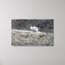 Search for blast canvas prints Destruction