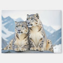 Search for affection magnets Animal