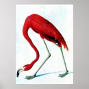 Search for antique flamingo posters Vintage