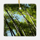 Search for bamboo ornaments Green