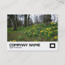 Recherche de jonquilles cartes visite Entreprise