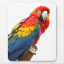 Search for scarlet mousepads Green