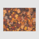 Recherche de thanksgiving tissue paper Orange