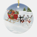 Search for dog sled ornaments Mushing