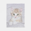 Search for orange tabby cat blankets Kitten