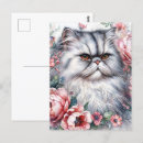 Search for himalayan cat postcards Feline