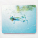 Search for amphibians electronics Water