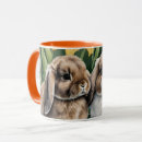 Recherche de deux lapins tasses Muqueuse