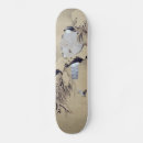 Search for hawks skateboards Falcon