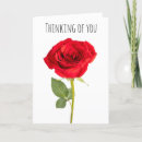 Search for thinking of you rose cards Simple