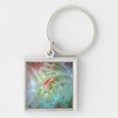 Search for anemone keychains Underwater