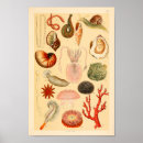 Recherche de méduses art Copie