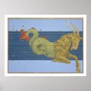 Search for bayer posters Constellation