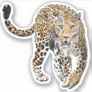 Search for big animal stickers Watercolor