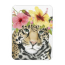 Search for tropical rectangular magnets Safari