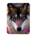 Recherche de loups magnets Animal sauvage