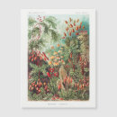 Recherche de aimant cartes postales Fleurs