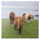 Recherche de shetland carreaux Cheval