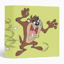 Search for spin binders Tasmanian devil