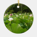 Search for lotus flower ornaments Pink