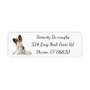 Search for brown white dog return address labels Dogs