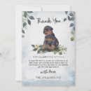 Search for rottweiler puppy postcards Animals
