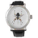 Recherche de araignées montres Arachnide