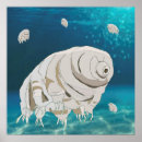 Search for floating posters Surreal