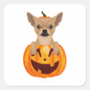 Search for chihuahuas stickers Pet