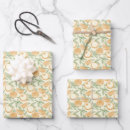 Search for orange fruit wrapping paper Juice