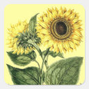 Search for native flower stickers Floral