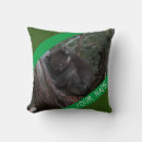 Search for koala australia pillows Animal