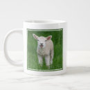 Search for baby lamb mugs Cute baby animal