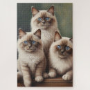 Recherche de chat doux puzzles Chatons