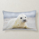 Recherche de phoque coussins Nature