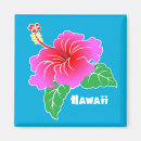 Recherche de fleurs de ketmie magnets Rose